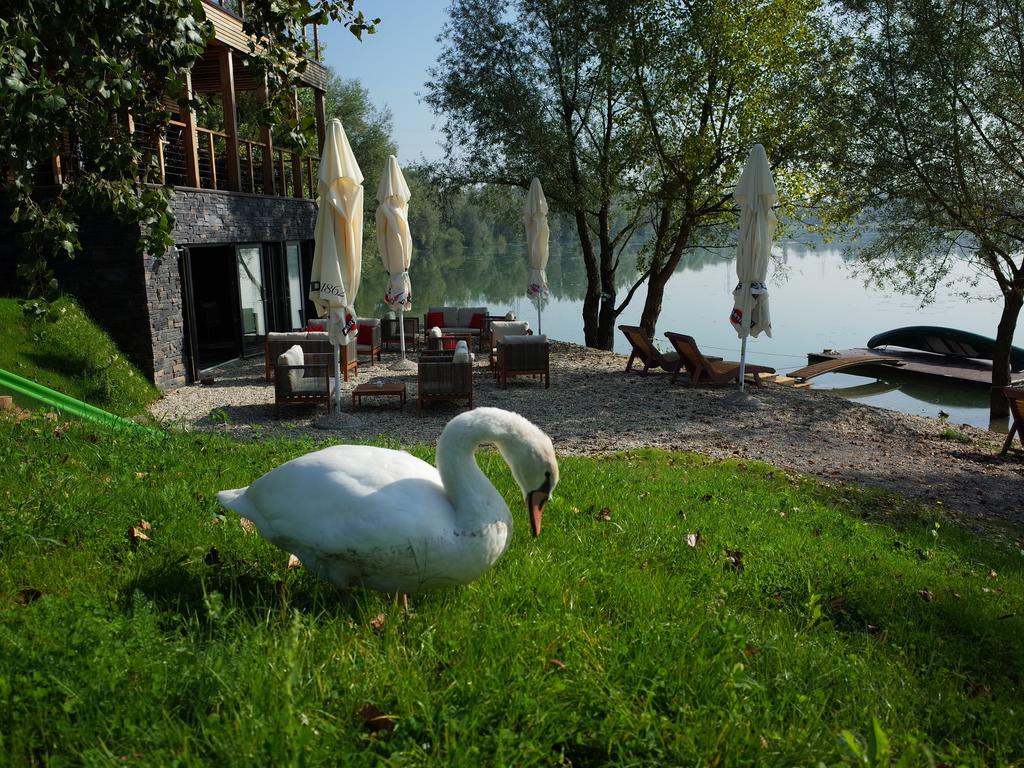 Zagreb Camp Bungalows Rakitje Εξωτερικό φωτογραφία